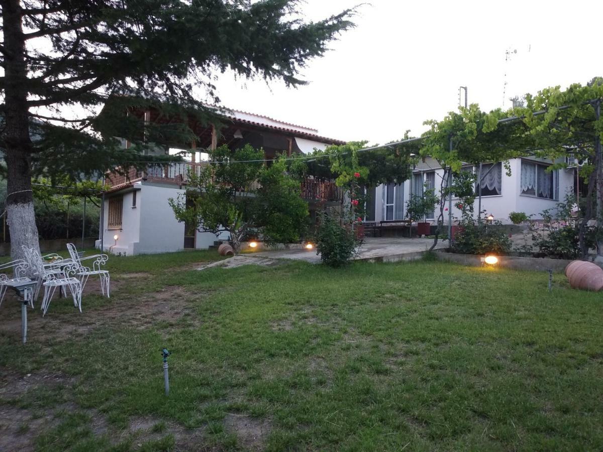 Green Leaves Nea Iraklitsa Exterior photo